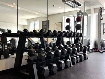 A gym with a rack of dumbbells and a mirror.